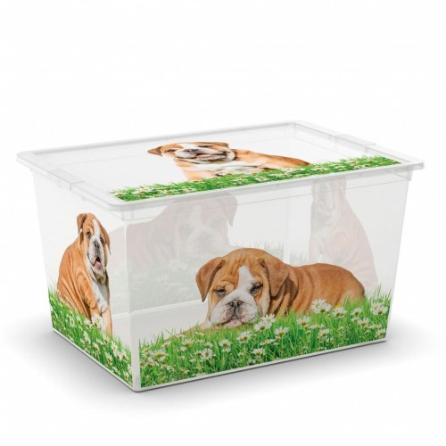 KIS C BOX PUPPY & KITTEN XL 55x38,5x30,5cm 50L